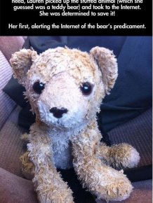 Lost Stuffed Animal