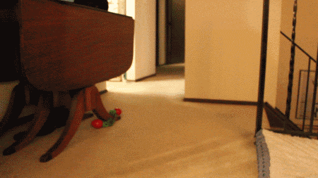 Daily GIFs Mix, part 389