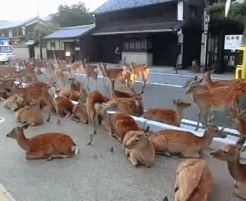 Daily GIFs Mix, part 390