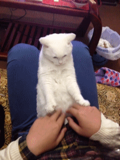 Daily GIFs Mix, part 392