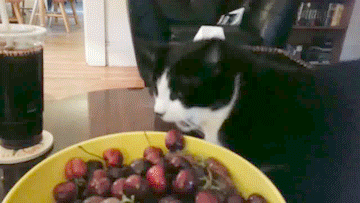 Daily GIFs Mix, part 392