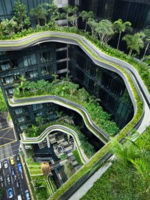 The Coolest Sky Gardens