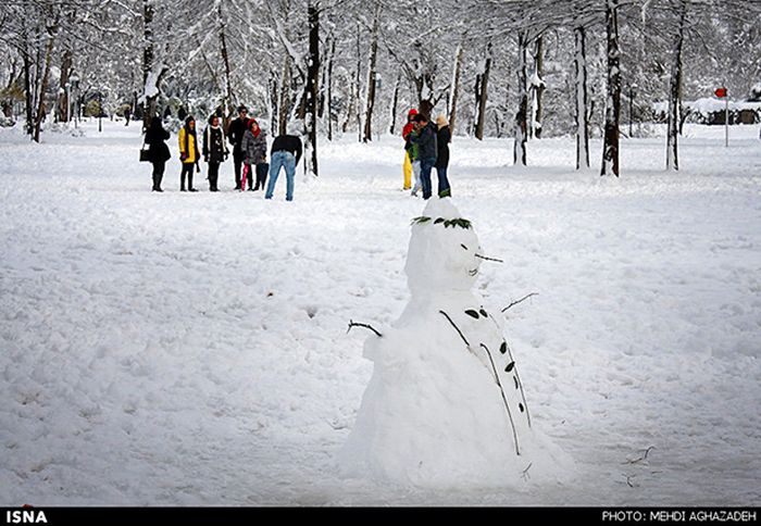 Snowstorm in Iran