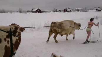 Daily GIFs Mix, part 400