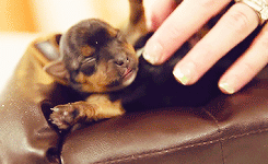 Daily GIFs Mix, part 401