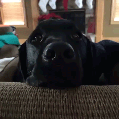 Daily GIFs Mix, part 401