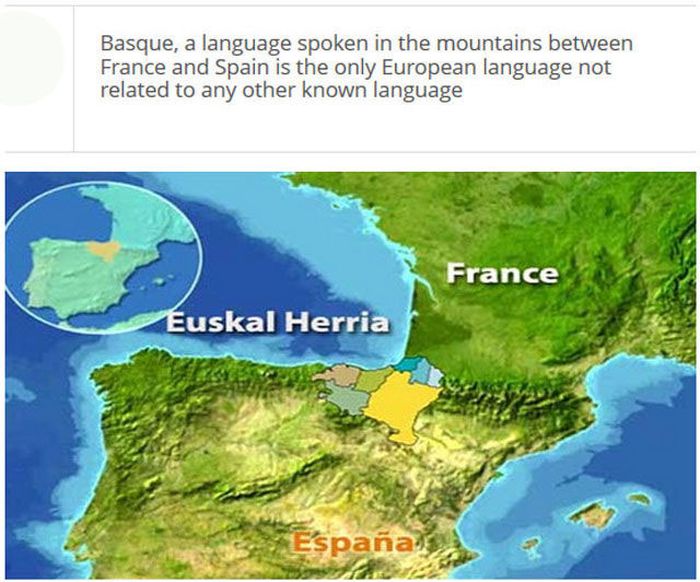Very Interesting Facts About Languages