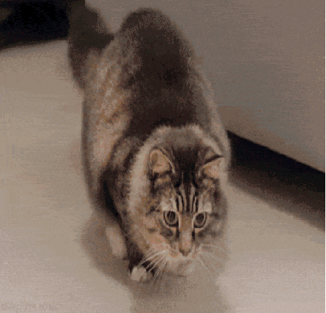 Daily GIFs Mix, part 403