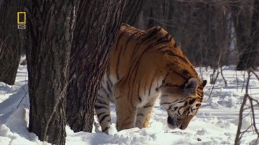 Daily GIFs Mix, part 403