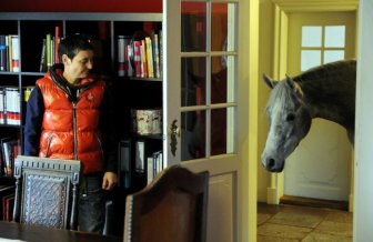 A Horse Sheltered From Storms in the Owner’s House