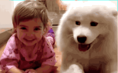 Daily GIFs Mix, part 408