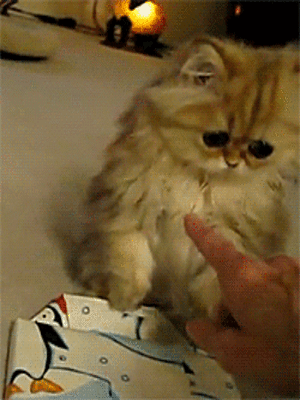 Daily GIFs Mix, part 411