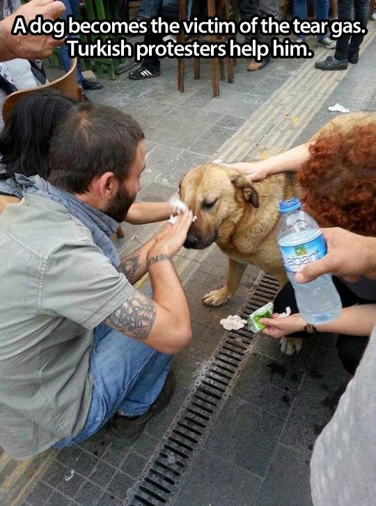 Faith in Humanity Restored, part 11