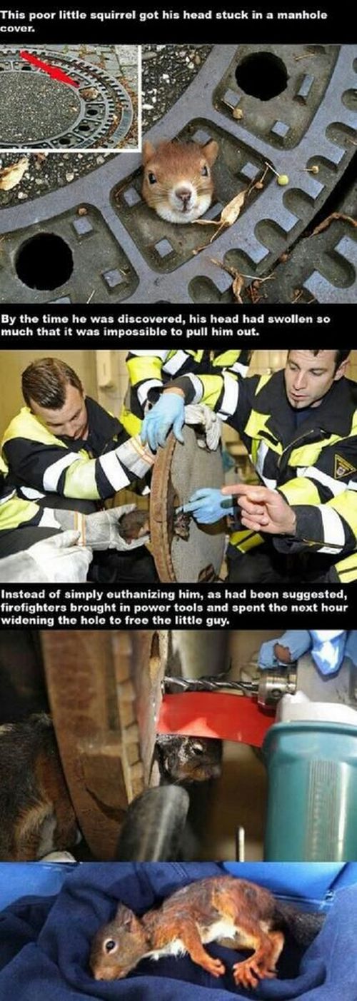 Faith in Humanity Restored, part 11