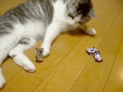 Daily GIFs Mix, part 412