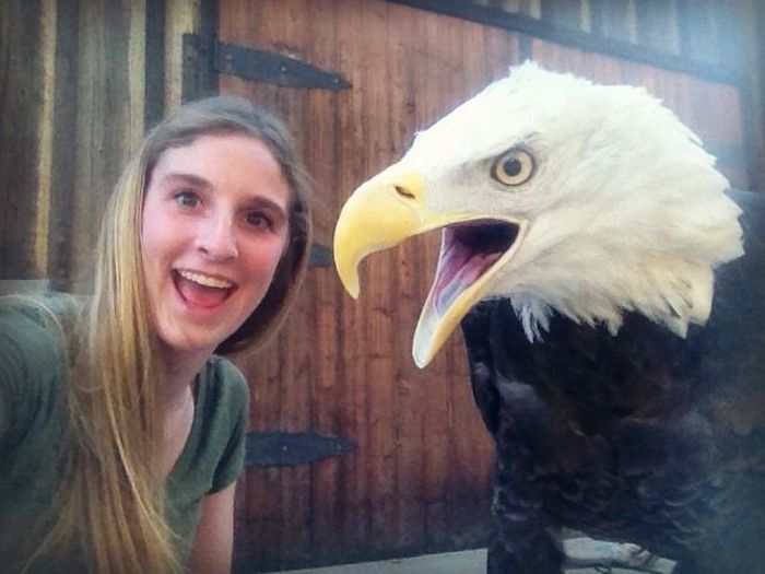 Girl vs Eagle
