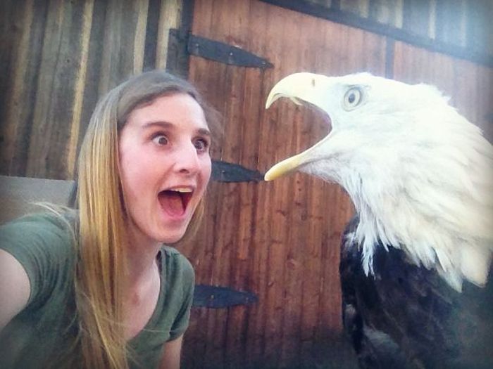 Girl vs Eagle