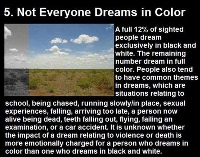 Dream Facts