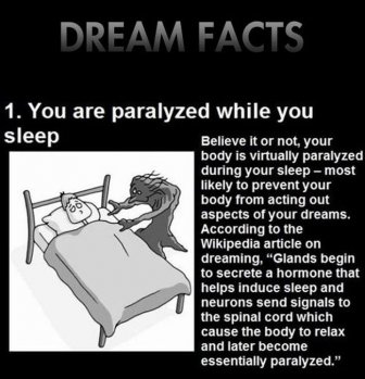 Dream Facts