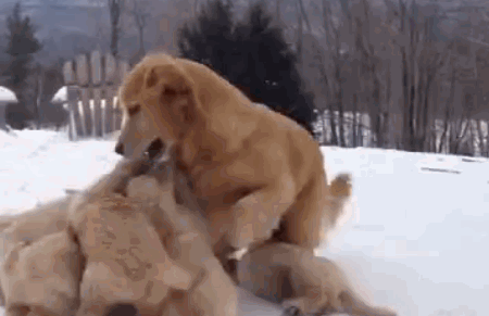 Daily GIFs Mix, part 414