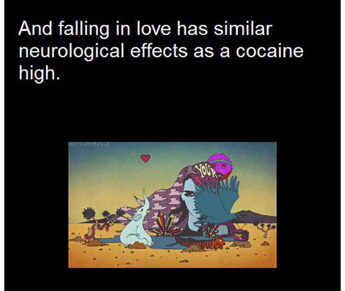Facts About Love