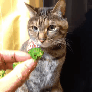 Daily GIFs Mix, part 415