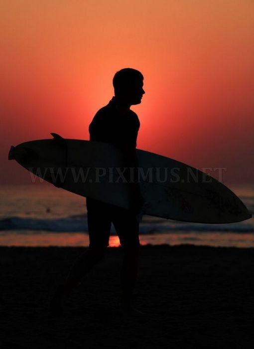 Surfing Photos 