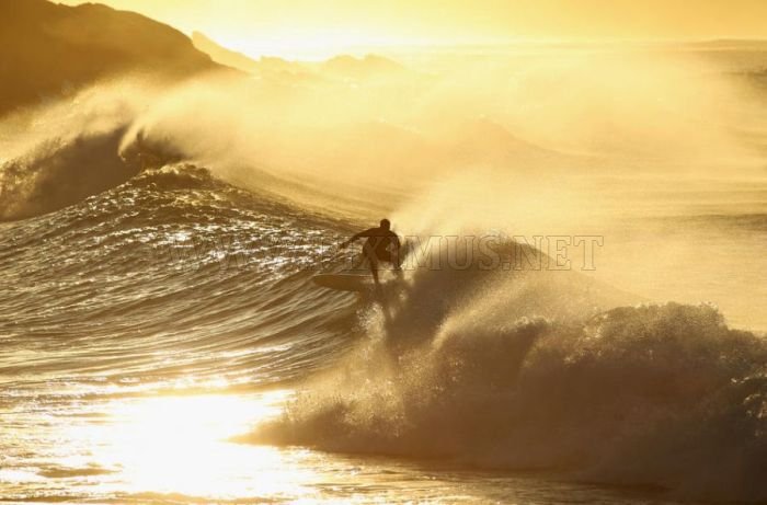 Surfing Photos 