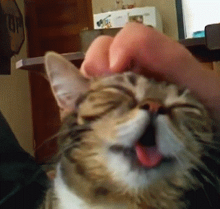 Daily GIFs Mix, part 418