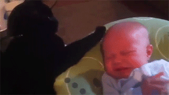 Daily GIFs Mix, part 418