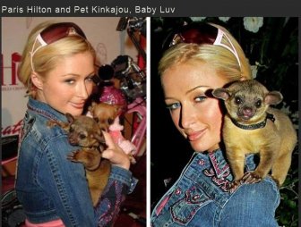 Famous People with Exotic Pets