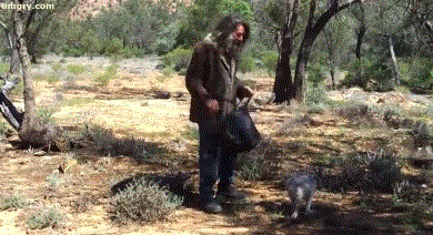 Daily GIFs Mix, part 422
