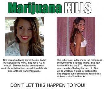 Marijuana Disinformation