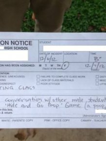 Funny Detention Notices