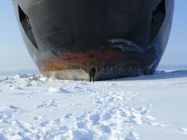 Atomic icebreakers in the Arctic