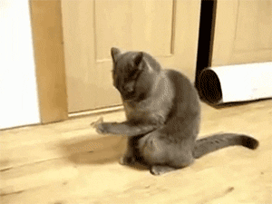 Daily GIFs Mix, part 426