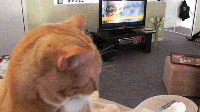 Daily GIFs Mix, part 427