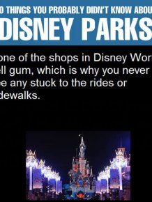Interesting Facts About Disney Parks