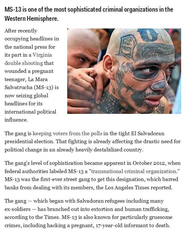 The Most Dangerous US Gangs