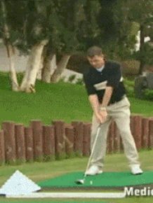 Combined GIFs