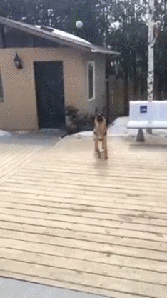 Daily GIFs Mix, part 434