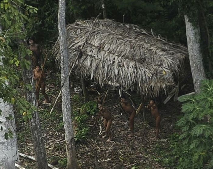 Startled Amazon Tribesmen