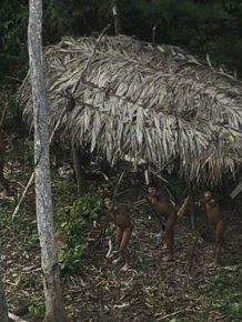Startled Amazon Tribesmen