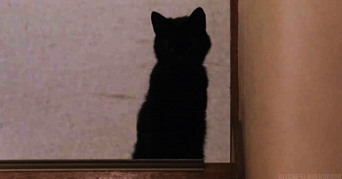 Daily GIFs Mix, part 437