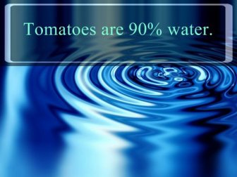 Interesting Facts about Water