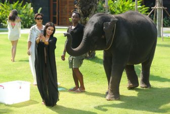 Kim Kardashian Scared By Elephant