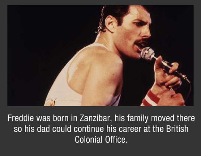 Facts About Freddie Mercury  Others