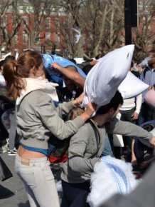 Pillow Fight Day 2014