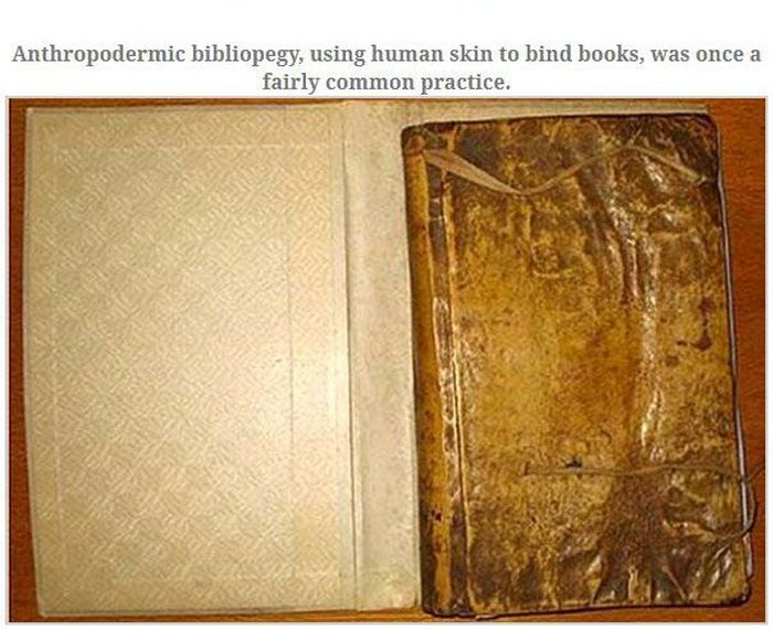 Skin Books from Harvard