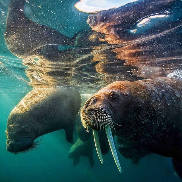 National Geographic on Instagram